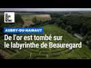 Le labyrinthe de maïs de Beauregard à Aubry-du-Hainaut a rarement été aussi beau.