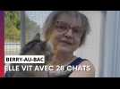 A Berry-au Bac, une habitante nourrit 28 chats errants