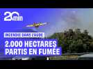 Incendie géant dans l'Aude : 2.000 hectares de forêt partis en fumée