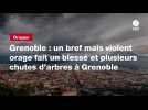 VIDEO. Grenoble : un bref mais violent orage fait un blessé et plusieurs chutes d'arbres à Grenoble
