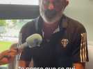 Rugby - 