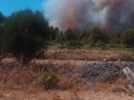 Incendie terrain à Prat de Cest