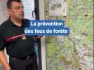 Une journée avec le Groupe d'Intervention Feux de Forêts du SDIS 84