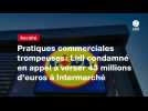 VIDEO.Pratiques commerciales trompeuses: Lidl condamné en appel à verser 43 millions d'euros à Intermarché