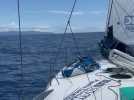 Quand un skipper breton passe juste à côté d'un baleineau