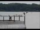 Lac du Der : 350 millions de m3 sous surveillance