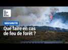 Que faire en cas de feu de forêt ?