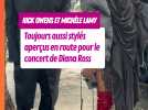 Rick Owens et Michèle Lamy aperçus au concert de Diana Ross...