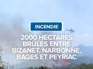 Incendie à Narbonne, 2000 hectares brulés.