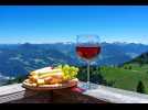 Pourquoi vous ne trouverez pas de vin suisse chez le caviste
