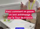 Voici comment se passe un contrôle antidopage sur le Tour de France