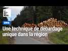 Unique dans la région : un chantier forestier qui préserve le sol