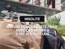 Il livre des produits frais avec des mules à 2 150 m d'altitude