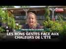 Prenez-en de la graine : faire face à la chaleur de l'été !