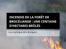 Incendie de la forêt de Brocéliande : Une centaine d'hectares brûlés