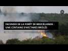 Incendie de la forêt de Brocéliande : Une centaine d'hectares brûlés