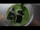 Le Japon "submergé" par le succès mondial de son matcha