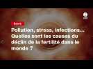 VIDEO. Pollution, stress, infections... Quelles sont les causes du déclin de la fertilité dans le monde ?