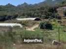 La Corse-du-Sud en alerte sécheresse dès ce jeudi 17 juillet