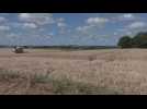 AGRICULTURE / Quel est le bilan des moissons 2025 ?
