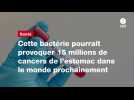 VIDEO. Cette bactérie pourrait provoquer 15 millions de cancers de l'estomac dans le monde prochainement