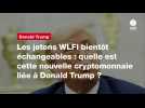 VIDEO. Les jetons WLFI bientôt échangeables : quelle est cette nouvelle cryptomonnaie liée à Donald Trump ?
