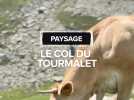 Paysage : Le col du Tourmalet