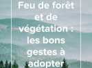 Feux de forêt et de végétation : les bons gestes à adopter