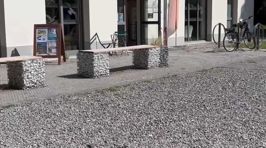 Une bouffée d'air à la réserve naturelle du platier d'Oye, entre