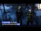 Incendie en forêt de Brocéliande : 100 hectares sont partis en fumée, le feu a été fixé dans la nuit