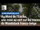 À une heure de Lille, mise au vert et plongée dans le Woodstock franco-belge au Mont de l'Enclus