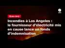 VIDEO. Incendies à Los Angeles : le fournisseur d'électricité mis en cause lance un fonds d'indemnisation