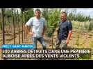 300 arbres détruits dans une pépinière auboise après Des vents violents