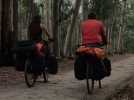 A Beaurains, Martine propose son jardin aux cyclos
