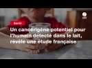 VIDEO. Un cancérigène potentiel pour l'humain détecté dans le lait, révèle une étude française
