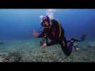 Crystal Waters of La Ciotat: Mesmerizing Underwater Journey
