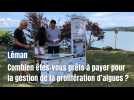 Léman : combien êtes-vous prêts à payer pour gérer la prolifération d'algues ?