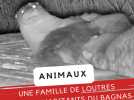 Animaux : des images rares d'une famille de loutres filmées à Bagnas