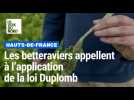 Loi Duplomb: les betteraviers, confrontés à la jaunisse dans les champs, attendent son application