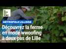 Bienvenue à la ferme en mode wwoofing à deux pas de Lille