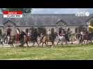 VIDÉO. Près de 850 spectateurs au spectacle équestre du haras de Saint-Lô