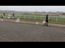Loisirs - La première compétition de hobby horse du Cher a eu lieu ce dimanche, à l'hippodrome de Lignières