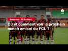 VIDÉO. Swansea - FC Lorient. Où et comment voir le prochain match amical du FCL ?
