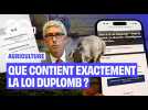 Que contient exactement la loi Duplomb ?