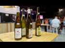 Foire aux vins de Colmar 2025 - Bouteilles vides : on vous emmène dans les coulisses du recyclage