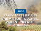 Incendie à Sigean : 77 hectares brûlés selon un premier bilan
