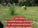 Environnement - Le salon chasse, pêche et nature à Saint-Honoré-les-bains, un événement où la convivialité règne en maître