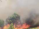 Un feu virulent est en cours à Sigean, au sud de Narbonne