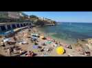 VIDÉO. « Elle n'est pas rafraîchissante » : à Marseille, les baigneurs constatent la canicule marine