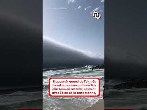 Un nuage rouleau de 150 KM sur les plages du Portugal ! #shorts
